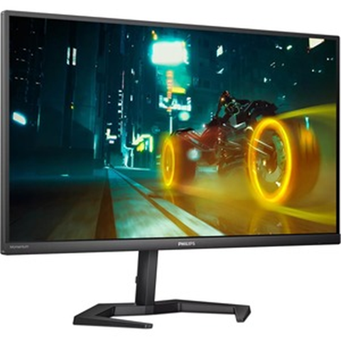 computer monitor with audio out