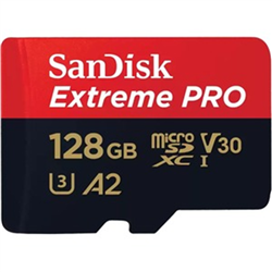 SanDisk SDSDXVV-256G-GNCIN  SanDisk Extreme 256 Go SDXC UHS-I Classe 10