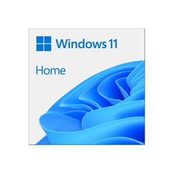 Microsoft Windows 11 Home - (ESD) Electronic License